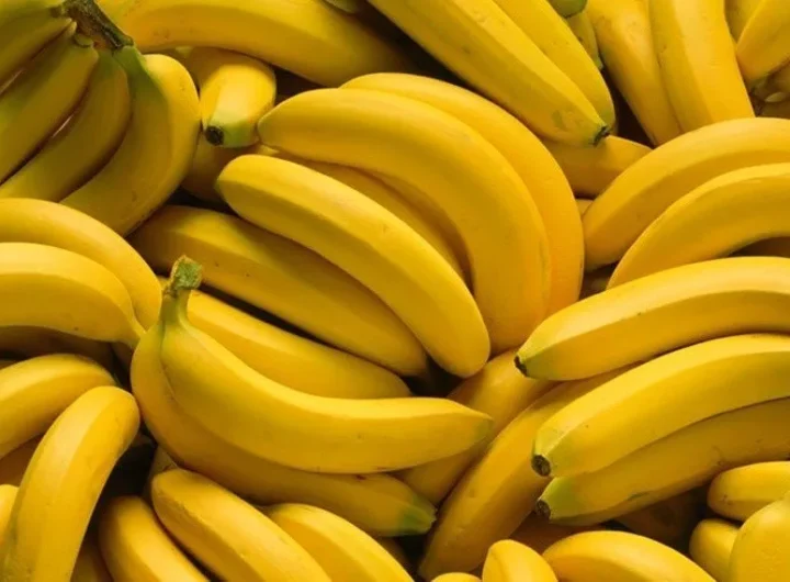 Banana, Sorte i Organski Uzgoj