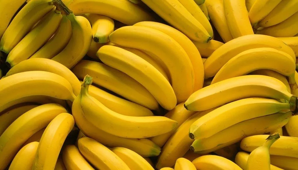 Banana, Sorte i Organski Uzgoj