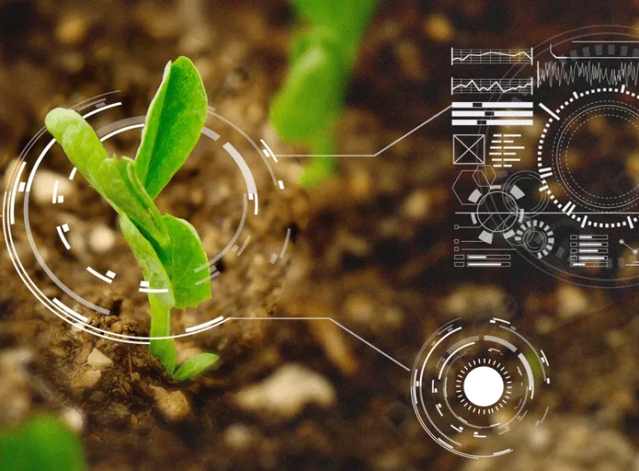 Pomoć Tehnologije u Planiranju Sezonske Sadnje