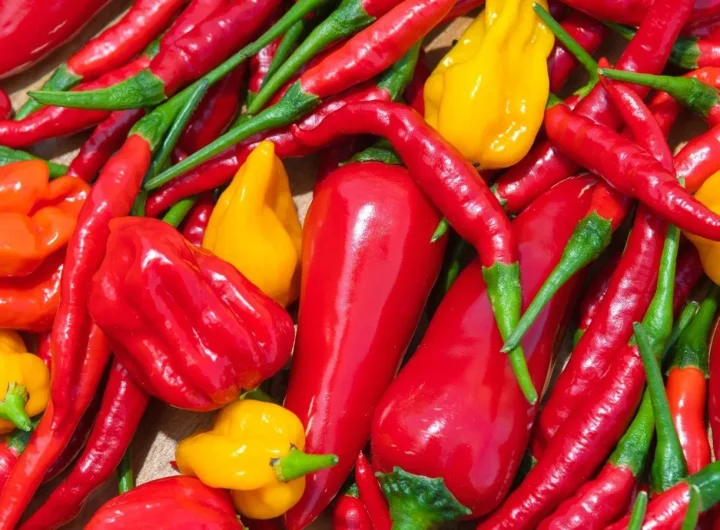 Ljute Papričice: Različite Vrste, Njihova Upotreba i Savjeti Za Uzgoj