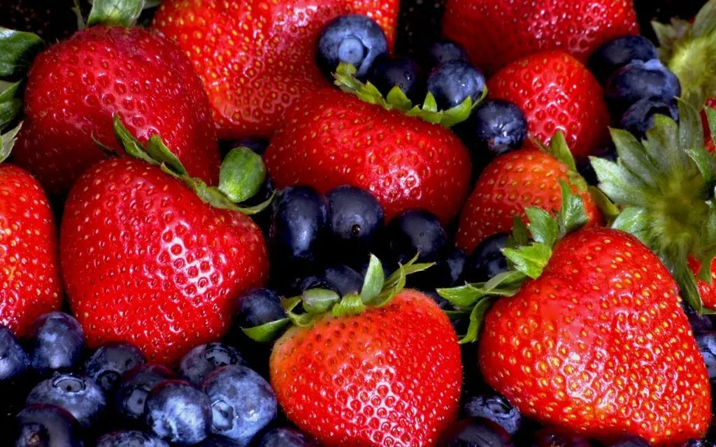 Bobičasto Voće, Vrste i Organski Uzgoj