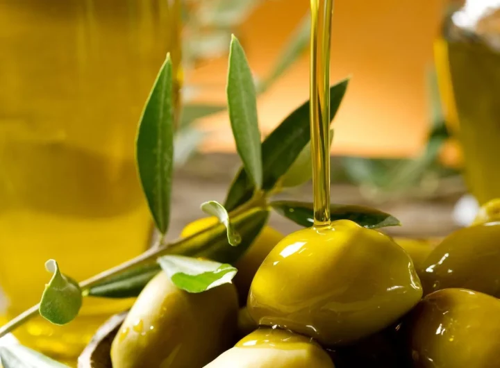 Kako Prepoznati Kvalitetu Maslinovog Ulja – Sve Što Trebate Znati