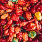 Uzgoj Ljutih Paprika u Hrvatskoj – Vodič po Sortama i Savjeti za Uspješan Uzgoj