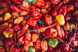 Uzgoj Ljutih Paprika u Hrvatskoj – Vodič po Sortama i Savjeti za Uspješan Uzgoj