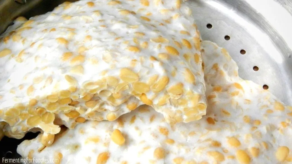 Veganski Recepti s Tempehom – 12 Zdravih i Ukusnih Jela za Svaki Dan