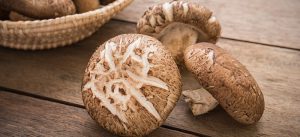 Shiitake Gljive – Ljekovita Superhrana i Umami Kraljica Veganske Kuhinje