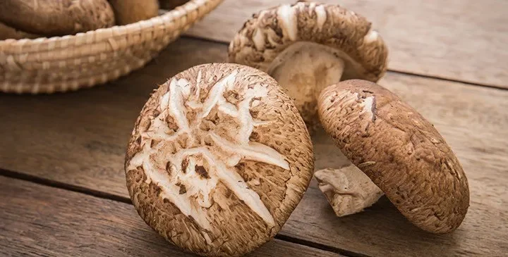 Shiitake Gljive – Ljekovita Superhrana i Umami Kraljica Veganske Kuhinje