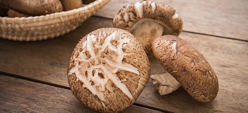 Shiitake Gljive – Ljekovita Superhrana i Umami Kraljica Veganske Kuhinje