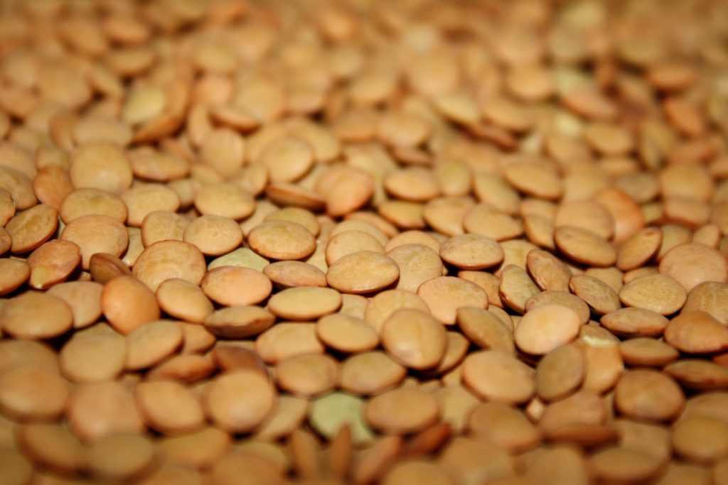 Ukusni Veganski Recepti od Leće – Jednostavni i Hranjivi Biljni Obroci