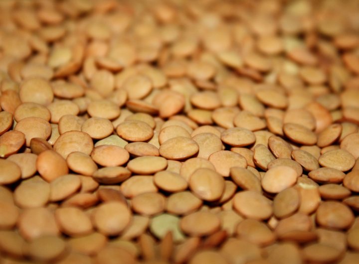 Ukusni Veganski Recepti od Leće – Jednostavni i Hranjivi Biljni Obroci