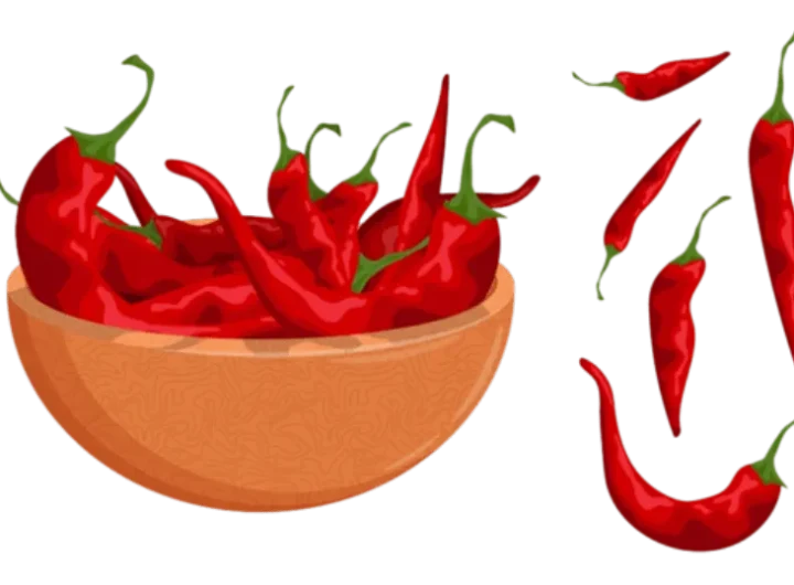 Veganski Recepti sa Ljutim Papričicama – Začini Svoj Biljni Jelovnik