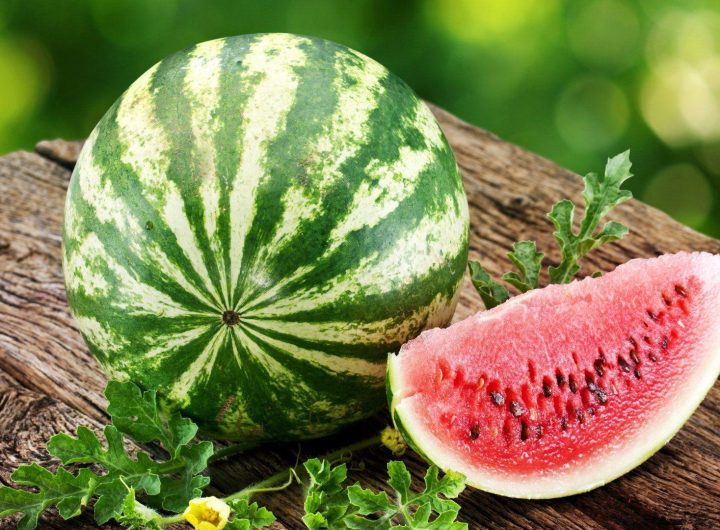 Sve o Lubenicama: Sorte, Uzgoj u Vrtu i Savjeti za Slatku i Sočnu Berbu