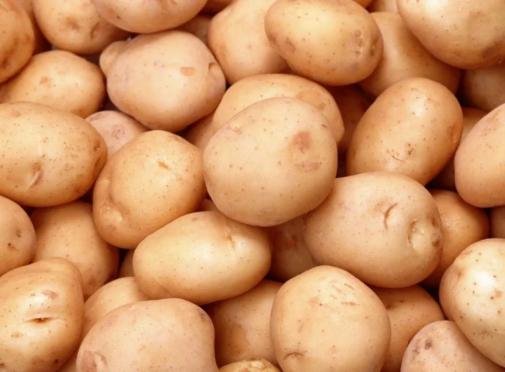 Uzgoj Krumpira i Njegove Prednosti: Sve Što Trebate Znati