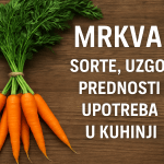 Mrkva – Sorte, Uzgoj, Zdravstvene Prednosti i Upotreba u Kuhinji