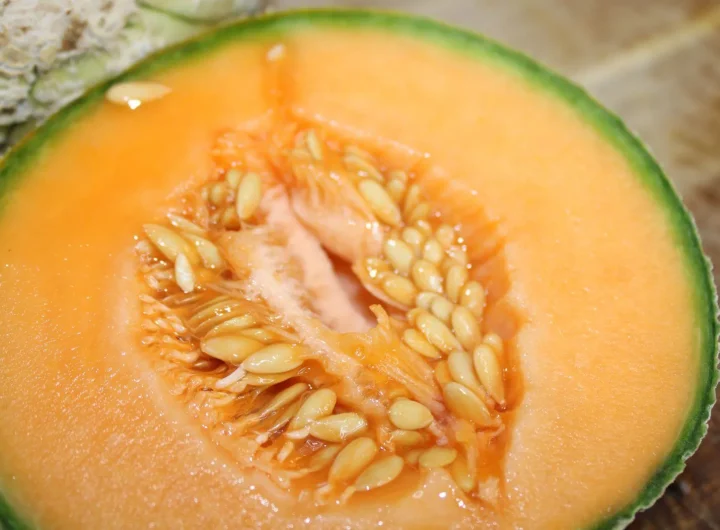 Kako Sačuvati Sjemenke Dinje za Iduće Sezone: Vodič za Samoodrživi Uzgoj