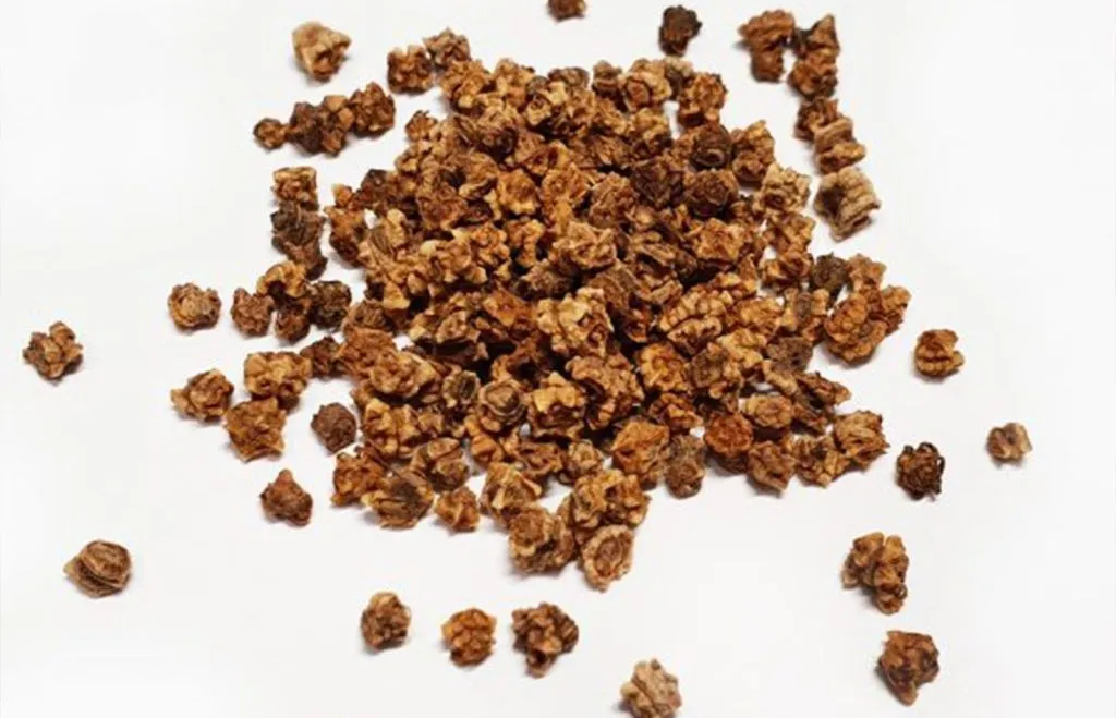 Kako Dobiti Sjeme Cikle i Sačuvati Ga za Sljedeće Sezone – Detaljan Vodič za Vrtlare