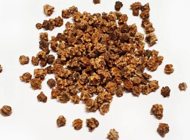 Kako Dobiti Sjeme Cikle i Sačuvati Ga za Sljedeće Sezone – Detaljan Vodič za Vrtlare