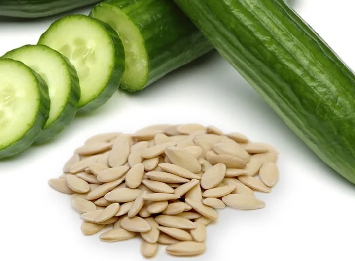 Kako Sačuvati Sjeme Krastavaca i Kornišona za Iduće Sezone – Vodič za Uspješan Uzgoj iz Vlastitog Sjemena