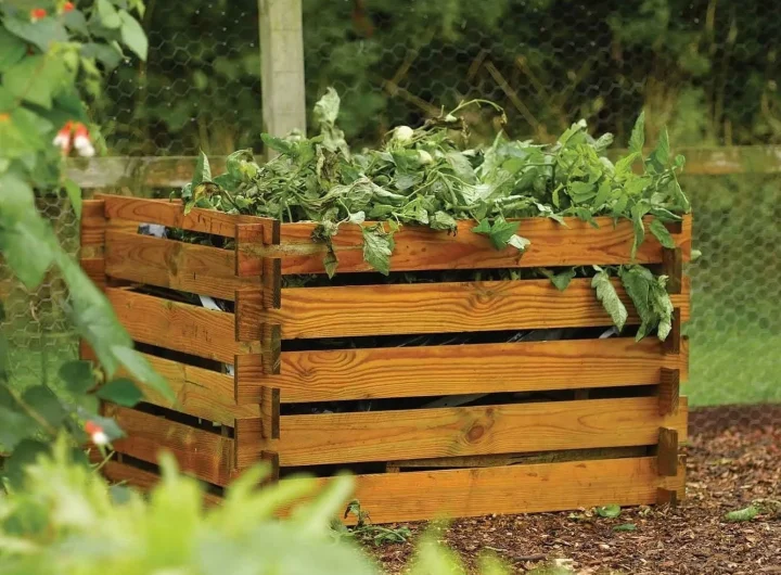 Kako Napraviti Prirodni Kompost u Vrtu – Detaljan Vodič za Zdrav i Plodan Vrt