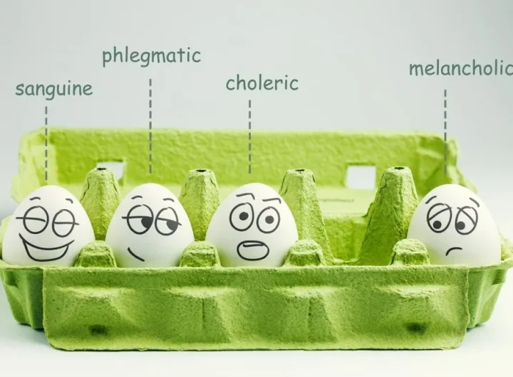Što Znači Kad Netko Kaže 'Flegma' ili 'Biti Flegmatičan'