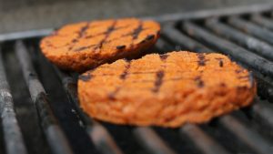 Vodič za Začine i Umake za Seitan, Recepti te Industrijska Proizvodnja i Upotreba Seitana u Restoranima