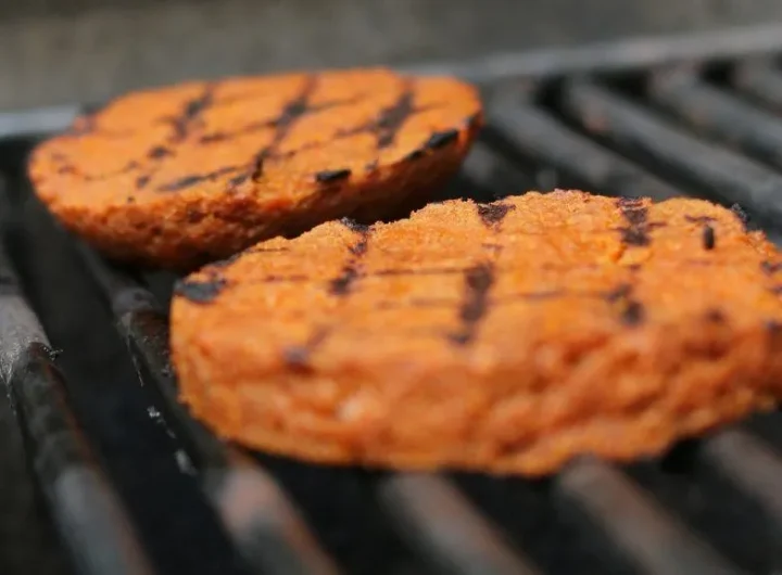 Vodič za Začine i Umake za Seitan, Recepti te Industrijska Proizvodnja i Upotreba Seitana u Restoranima