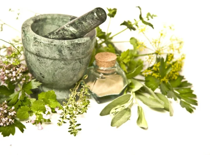 Top 7 Začinskih Biljaka Koje Svatko Može Uzgajati u Stanu