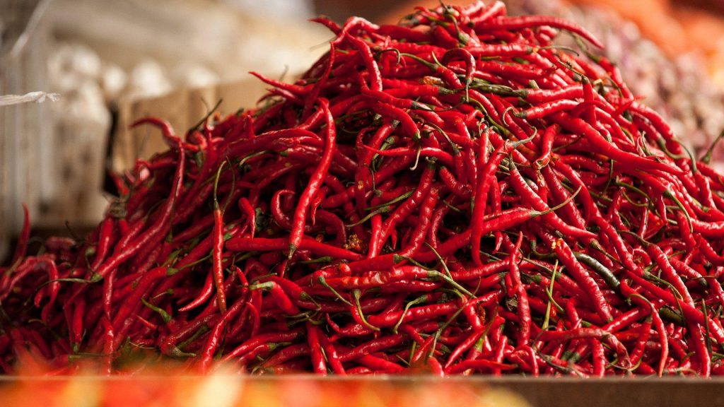 Top 5 Sorti Ljutih Paprika Koje Uspijevaju u Hrvatskoj