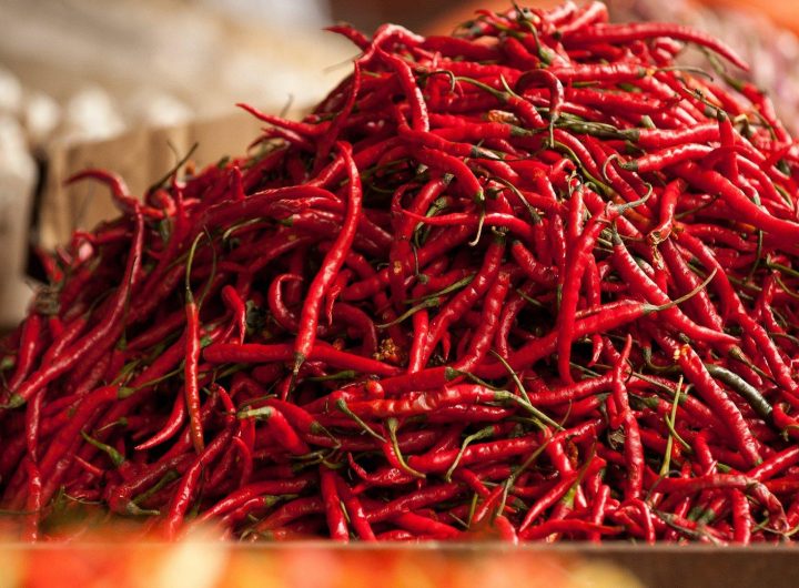 Top 5 Sorti Ljutih Paprika Koje Uspijevaju u Hrvatskoj