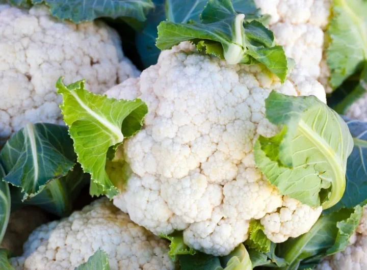 Cvjetača – Nutritivna Zvijezda Među Kupusnjačama