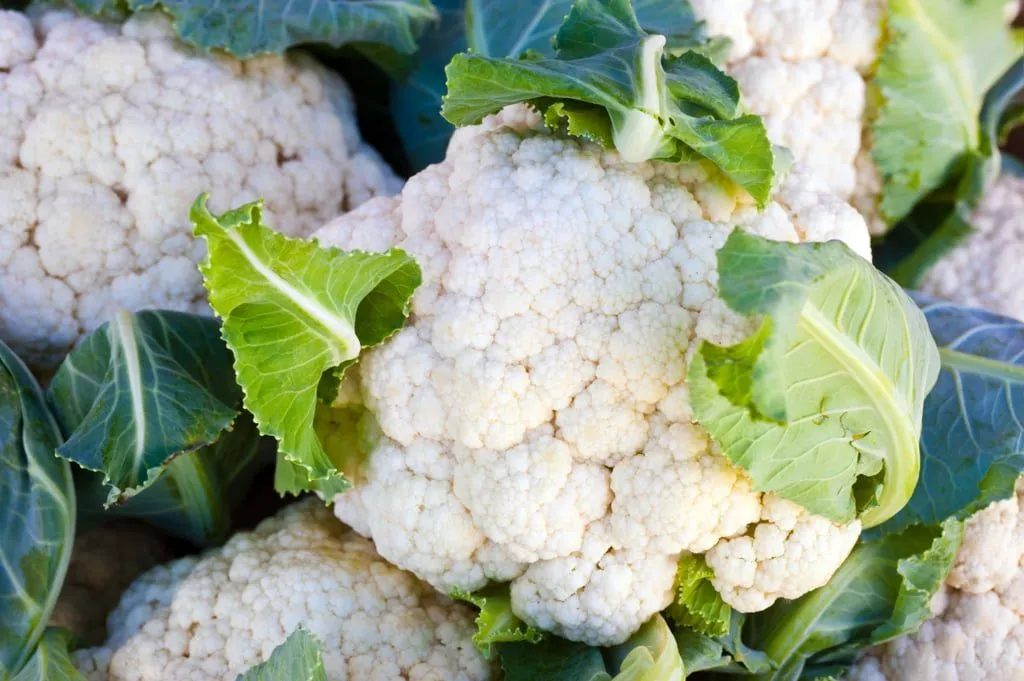 Cvjetača – Nutritivna Zvijezda Među Kupusnjačama