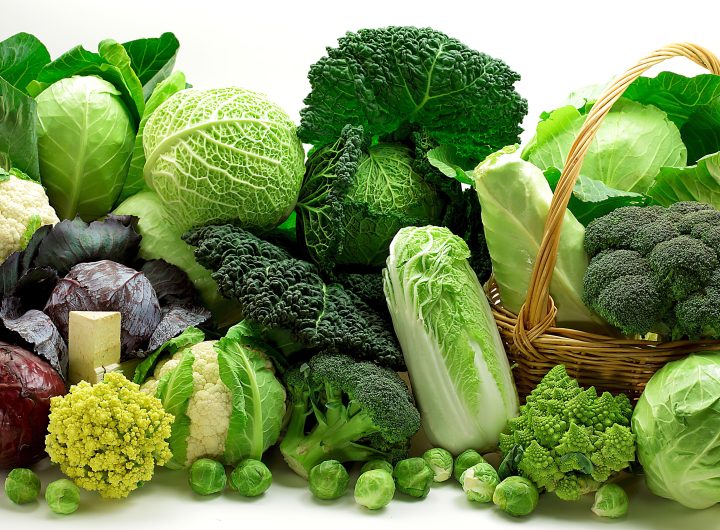 Kelj ili Kupus – Isto ili Različito? Nutritivna Analiza, Uzgoj i Kulinarska Primjena