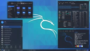 Kali Linux: Instalacija, Značajke i Profesionalna Primjena