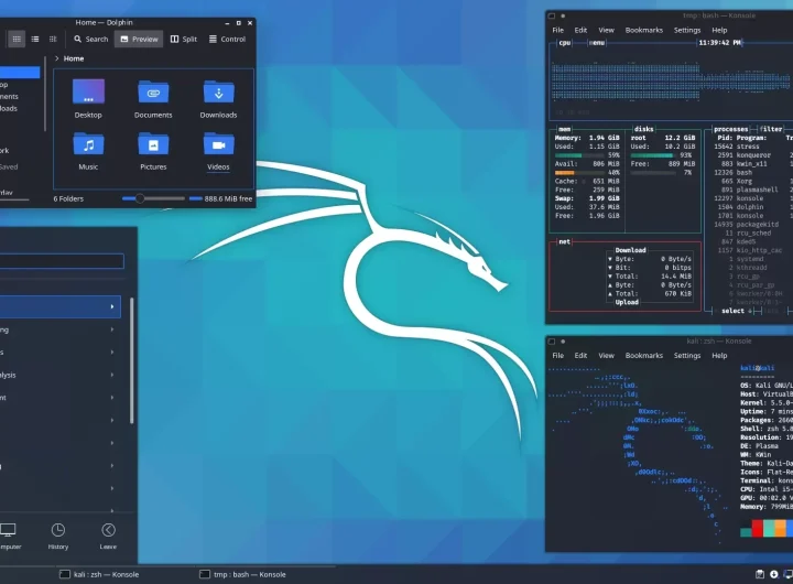 Kali Linux: Instalacija, Značajke i Profesionalna Primjena