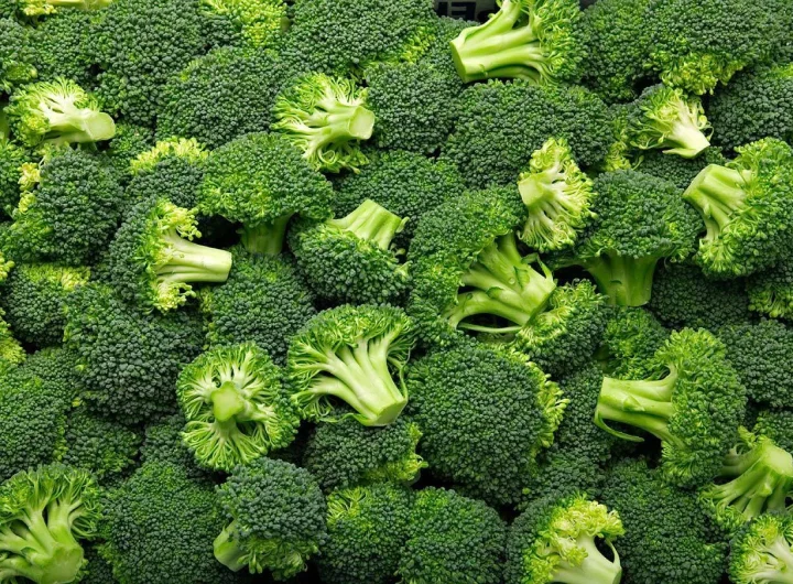 Brokula – Zeleno Blago Zdravlja i Snage Prirode