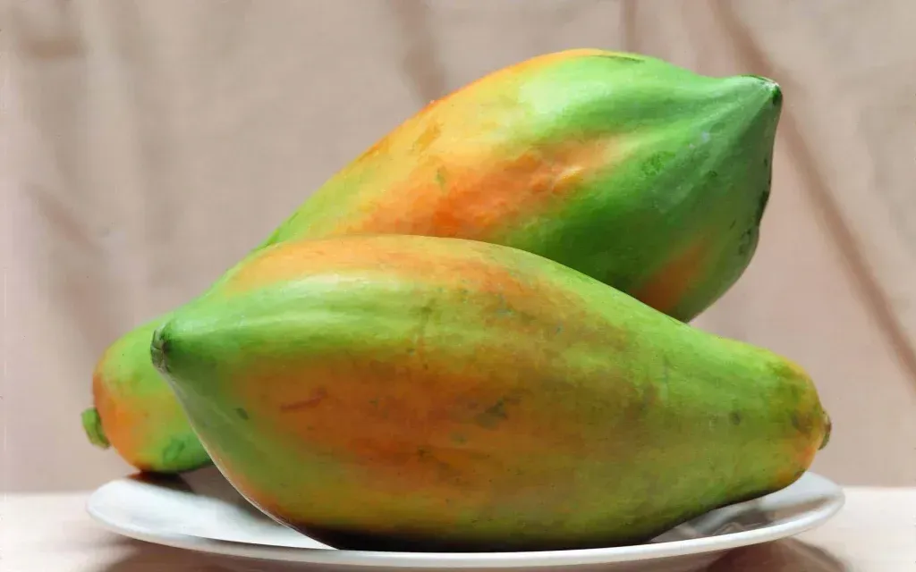 Papaja (Papaya): Tropski Plod Pun Nutritivnih Blagodati