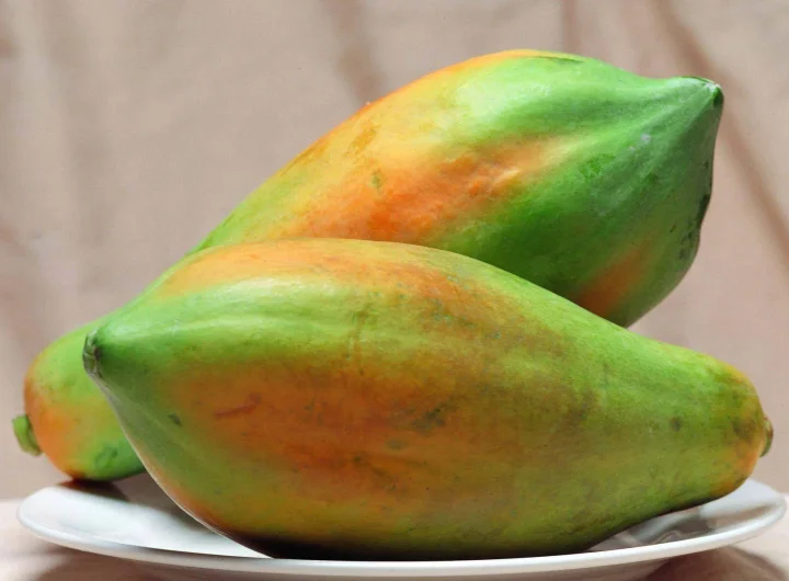 Papaja (Papaya): Tropski Plod Pun Nutritivnih Blagodati