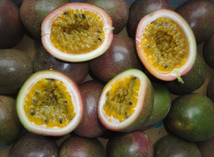 Marakuja (Passion Fruit): Sve Što Trebate Znati o Ovom Egzotičnom Voću