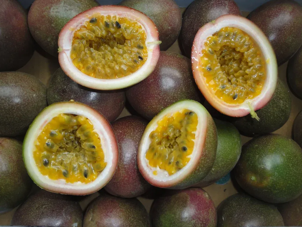 Marakuja (Passion Fruit): Sve Što Trebate Znati o Ovom Egzotičnom Voću