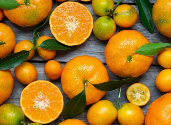 Mandarina: Sve o Sortama u Hrvatskoj i Svijetu, Uzgoju, Okusu i Gospodarskom Značaju