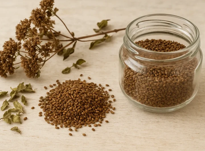 Kako Sačuvati Sjeme Mažurana za Naredne Sezone: Kompletan Vodič