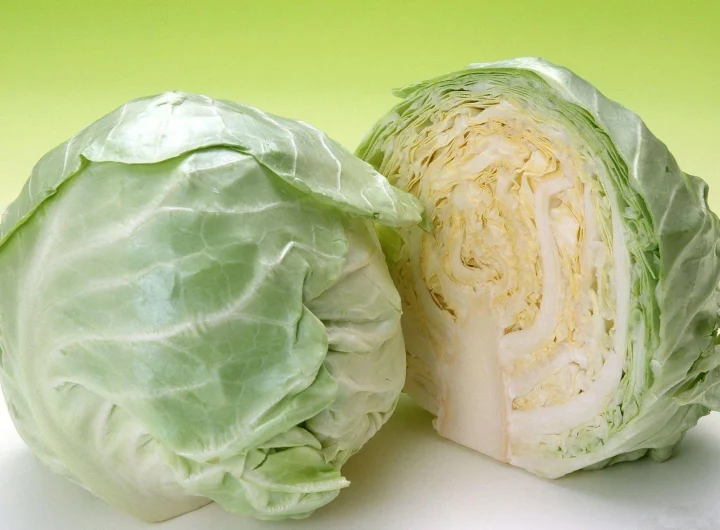 Bijeli Glavati Kupus – Potpuni Vodič: Uzgoj, Zdravlje i Kulinarstvo