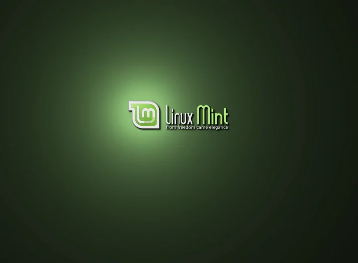 Linux Mint LMDE: Debian Edition za Napredne Korisnike