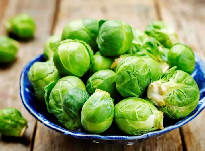 Sve o Prokulicama (Kelj Pupčar) – Nutritivna Moć, Uzgoj i Priprema