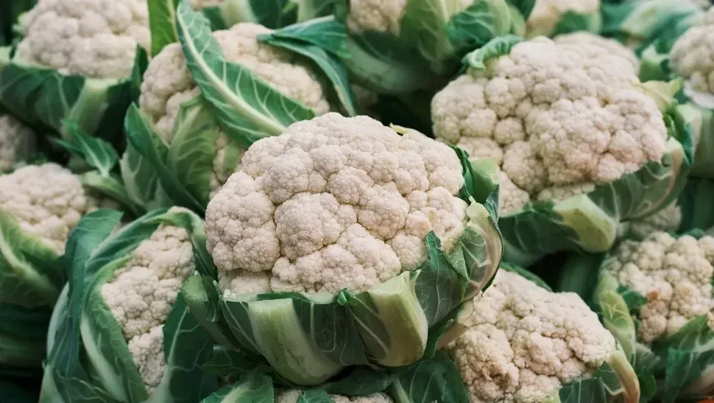 Sve o Cvjetači – Povijest, Uzgoj, Nutritivne Vrijednosti i Priprema