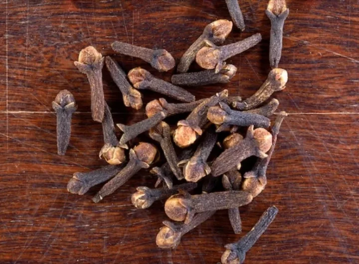 Klinčić (Syzygium Aromaticum): Sveobuhvatan Vodič o Povijesti, Ljekovitosti, Upotrebi i Uzgoju Jednog od Najmoćnijih Začina na Svijetu