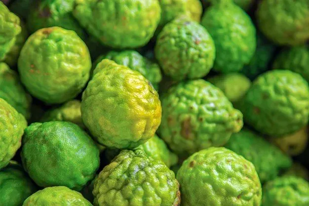 Kako i Zašto Uzgajati Bergamot – Sveobuhvatan Vodič za Početnike i Iskusne Vrtlarе