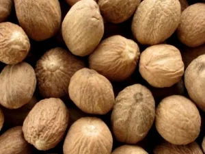 Muškatni Oraščić – Sve Što Trebate Znati