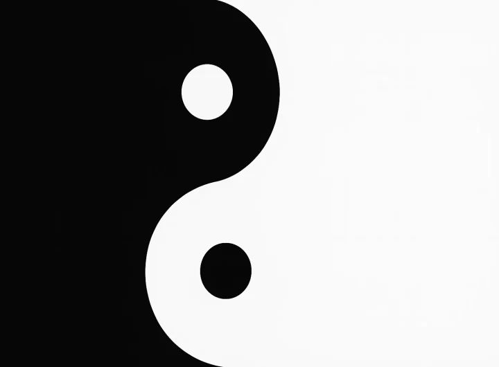 Što je Antiteza – Retorika Kontrasta – Kako Antiteza Povećava Snagu Riječi?