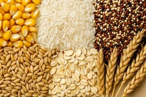 Vrste Žitarica – Potpuni Vodič Kroz Najvažnije Žitarice u Prehrani Čovjeka